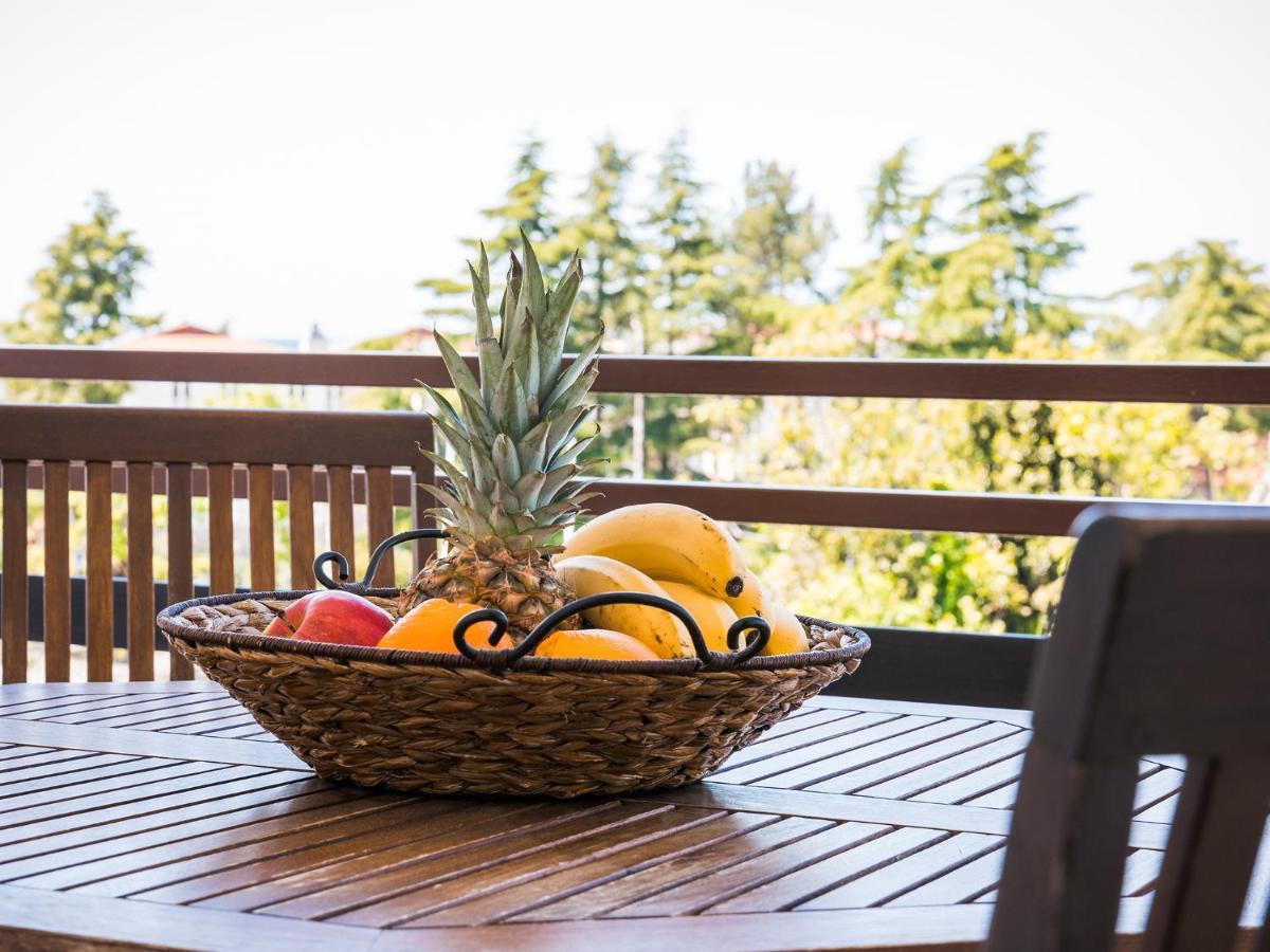 Appartement Spadici *
